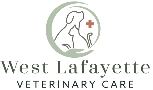 West Lafayette Veterinary Care